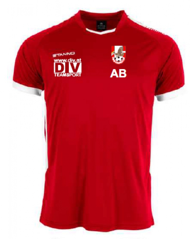 PAA01 Trainingsshirt, kurzarm (410008-6200)